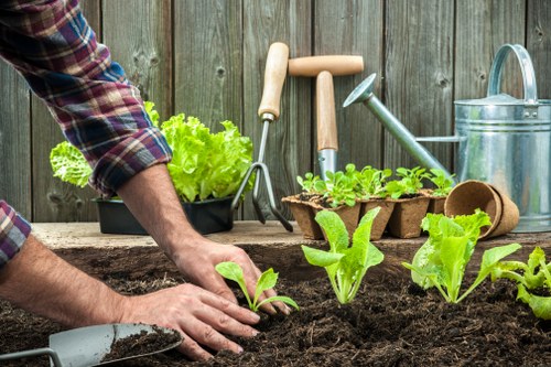 Eco-friendly garden maintenance practices