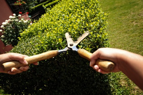 Eco-friendly hedge maintenance practices