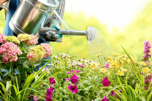 Garden clearance team using equipment in a Bayswater garden
