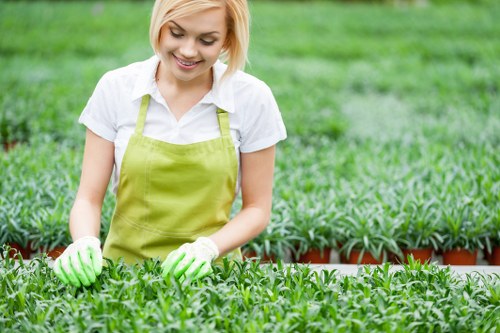 Maintaining and sharpening lawn mower blades